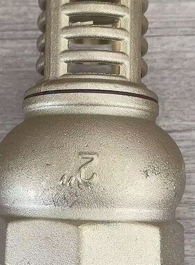 不锈钢网铜底阀吸水泵弹簧立式底阀立式止回阀全铜底阀