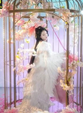 欧影铁艺超大型鸟笼婚庆装饰摆件户墅落地别外特大号摄式道具鸟笼