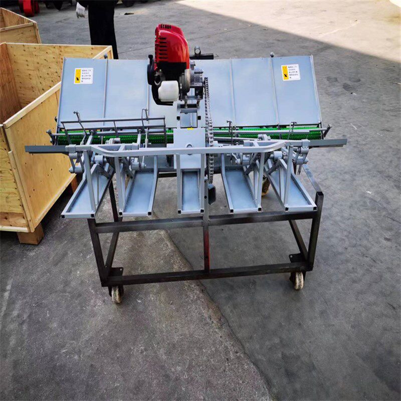 人工手动小型插秧机农用耕种机械 手推式水稻新式六行插禾机,淘宝优惠券,粉丝福利购,淘宝优惠卷