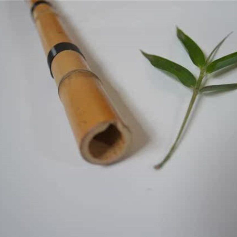 韩国箫 短箫 洞箫 五孔萧 朝鲜族单扫,淘宝优惠券,粉丝福利购,淘宝优惠卷