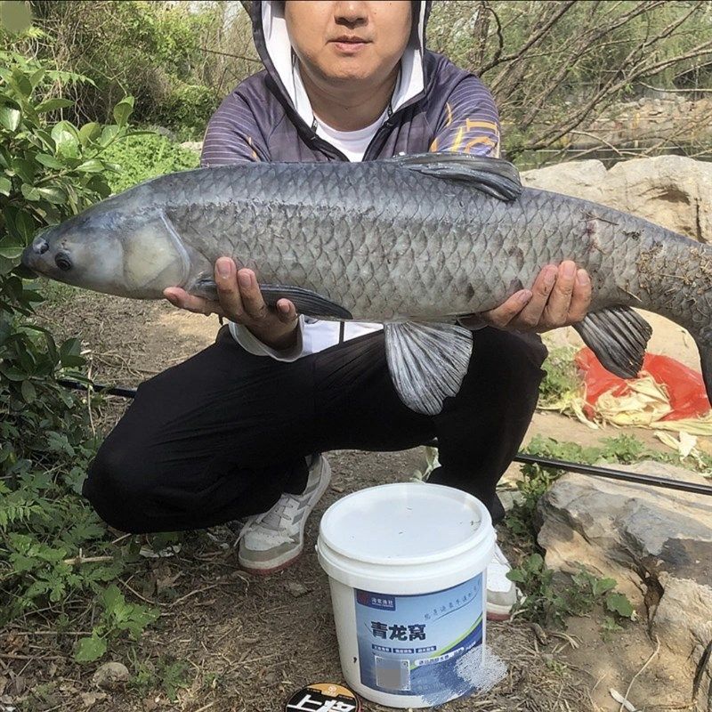 青龙窝挂钩颗粒青鱼草鱼窝料黑坑鱼饵,淘宝优惠券,粉丝福利购,淘宝优惠卷