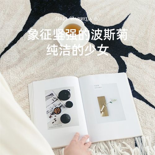 MUFEN 奶油风卧室牀边地毯法式高级客厅沙发茶几毯仿羊绒牀前地垫 - 图0