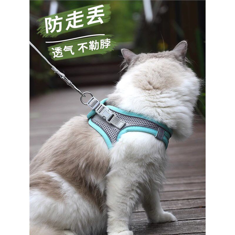 猫咪牵引绳遛猫绳外出溜猫绳栓猫绳牵猫绳防挣脱猫猫可调节背心式,淘宝优惠券,粉丝福利购,淘宝优惠卷