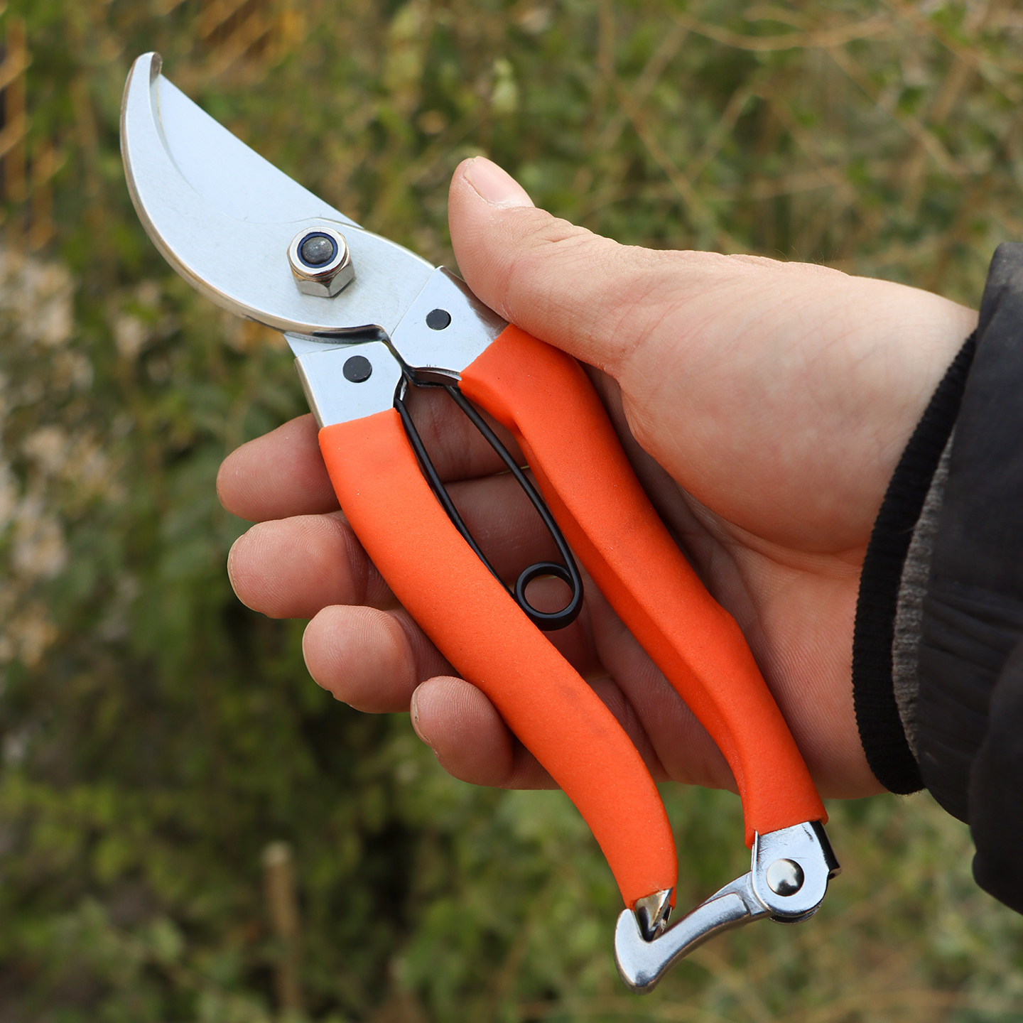 佐川田168T修枝剪园林果树剪刀SK5园艺剪子盆景果园剪树剪枝工具,淘宝优惠券,粉丝福利购,淘宝优惠卷