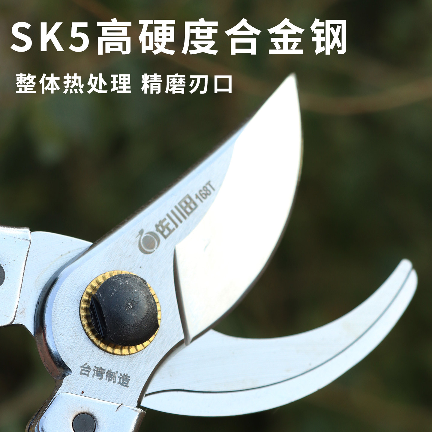 佐川田168T修枝剪园林果树剪刀SK5园艺剪子盆景果园剪树剪枝工具,淘宝优惠券,粉丝福利购,淘宝优惠卷