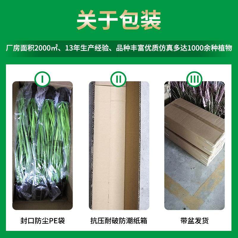 洋葱草盆景 桌面装饰品 植物仿真洋葱草盆栽,淘宝优惠券,粉丝福利购,淘宝优惠卷