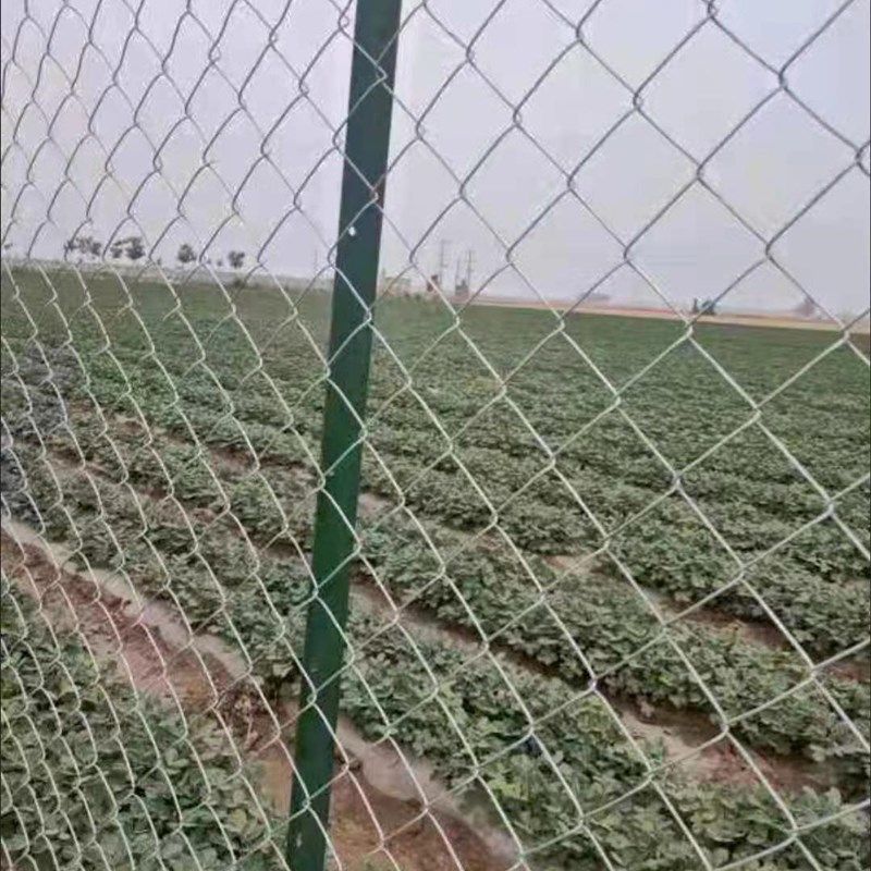 热镀锌围栏网,淘宝优惠券,粉丝福利购,淘宝优惠卷