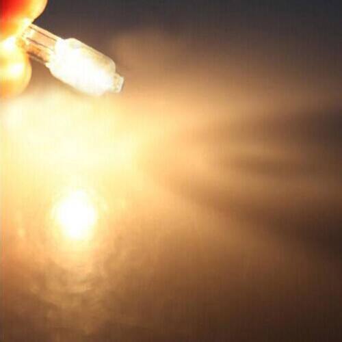 10个 g4 20w watt 12v halogen bi-pin light la水晶灯吊灯小灯泡 - 图2