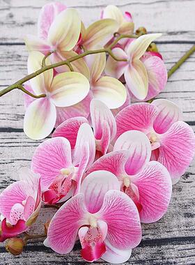 3D Small Butterfly Orchid 6 Heads/Bundle Fake Flower Home Dr