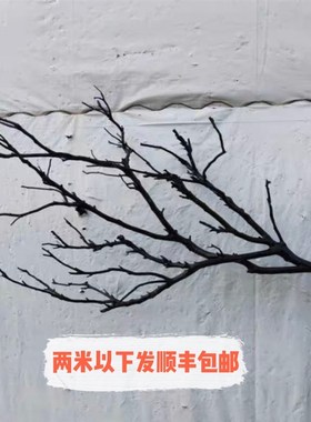 干树枝造景原木干枝酒店橱窗设计枯枝真树枝墙面装饰吊灯树枝装饰