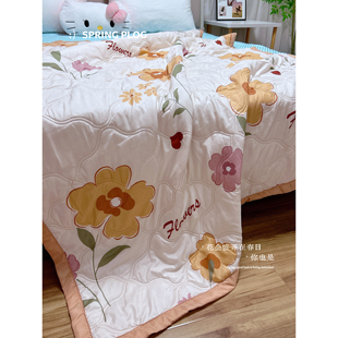 【全尺寸一个价】可机洗夏凉被空调被