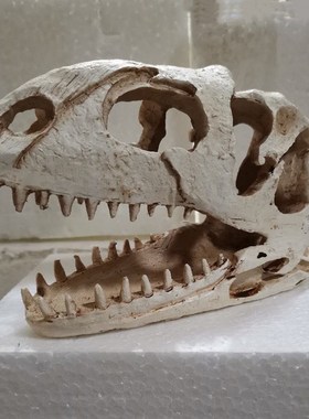 鱼缸水族箱造景装饰摆件造景恐龙树脂头骨爬虫躲避水族馆装饰