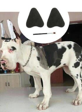 PetDogEarSndUpuickL