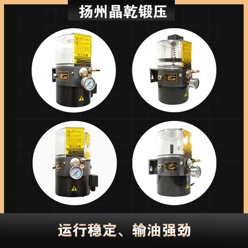 浙江流遍LRB1-K20/2ZII电动油泵LRB1-K10/2Z1润滑泵LRB2-K30/3ZI - 图1