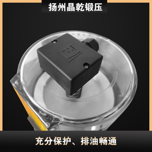 浙江流遍LRB1-K20/2ZII电动油泵LRB1-K10/2Z1润滑泵LRB2-K30/3ZI - 图2