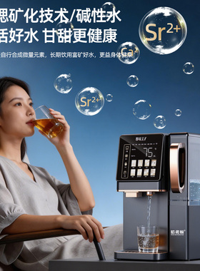 哈弗顿反渗透免安装制冰机可直饮