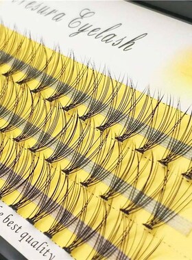 1 Box/60 Packs Of Fake Eyelashes 10/20/30D, Personal Mink Na