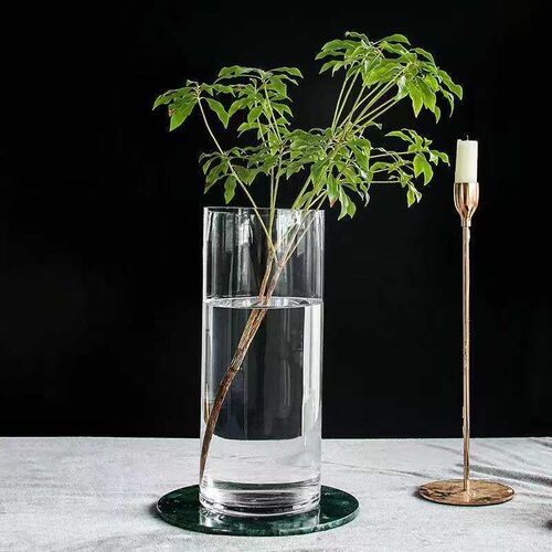 Transparent Straight Glass Vase Floor Thickened Horse Drunk - 图0