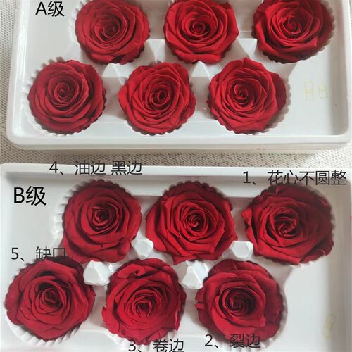 Flowers Yunnan Everlasting Flower Rose Valentines Day Diy - 图3