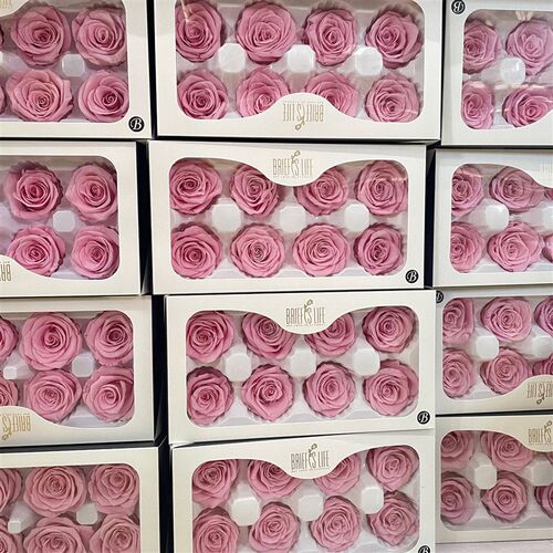 Flowers Yunnan Everlasting Flower Rose Valentines Day Diy - 图1