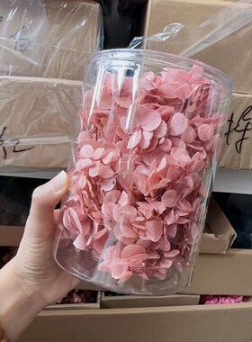 亚特兰蒂斯木绣球20g永生花花艺材料填充真花干花渐变保鲜花中华
