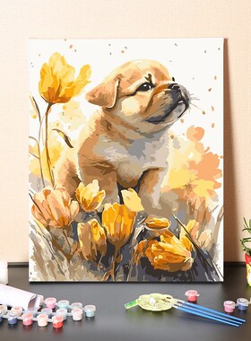 数字油画diy手工填充小奶狗博美柯基柴犬田园犬涂色丙烯油彩画画