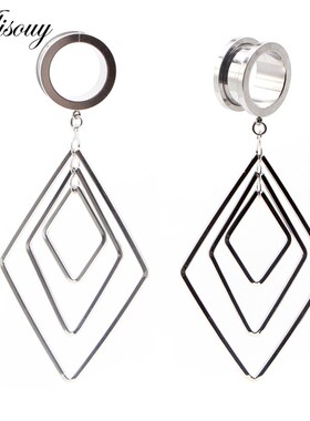 Alisouy 2pcs 6-25MM Stainless Steel Ear Plugs and Tunnels Da