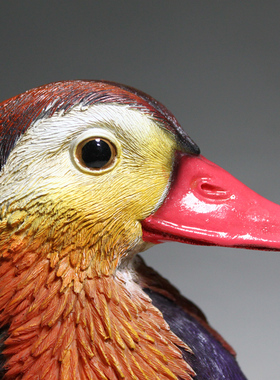 仿真鸳鸯摆件浮水花园庭院装饰品假山摆设园艺树脂工艺品动物雕塑