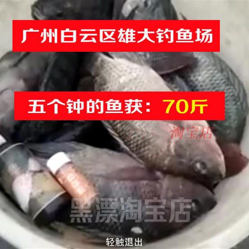 非膏王罗非小药添加剂专攻大罗飞野钓黑坑钓鱼诱食餐福寿鱼香精,淘宝优惠券,粉丝福利购,淘宝优惠卷