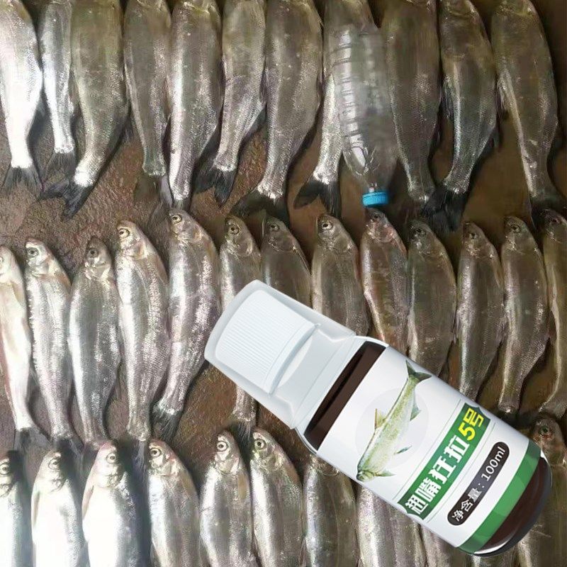 翘嘴饵料白条红尾专用泡玉米筏钓窝料泥鳅打窝夏季专用饵诱鱼小药,淘宝优惠券,粉丝福利购,淘宝优惠卷