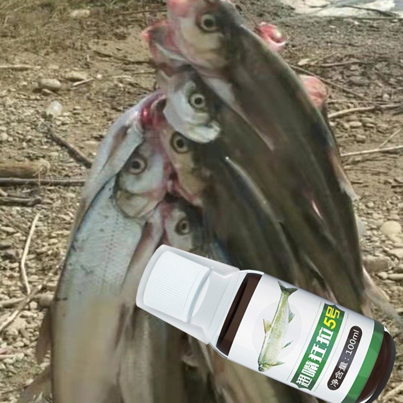 翘嘴饵料白条红尾专用泡玉米筏钓窝料泥鳅打窝夏季专用饵诱鱼小药,淘宝优惠券,粉丝福利购,淘宝优惠卷