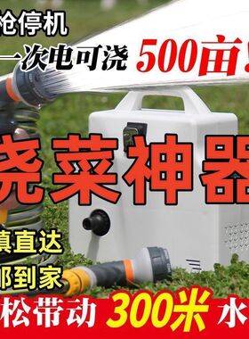 充电式抽水泵家用小型户外浇菜神器手提便携式农用灌溉锂电抽水机
