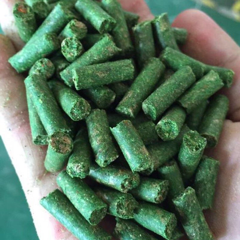 老G饵料 青草杀手青鱼草黑传说草鱼窝料颗粒黑坑野钓水库打窝鱼饵,淘宝优惠券,粉丝福利购,淘宝优惠卷