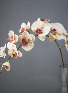 110CM 11 Heads Silk Orchid Phalaenopsis Flowers DIY Wedding