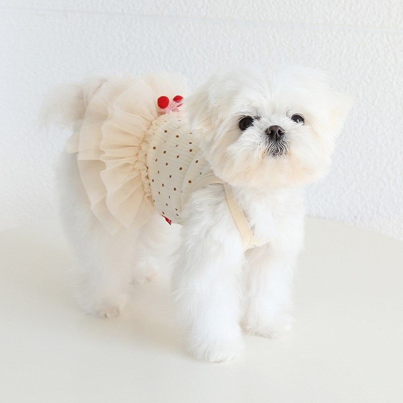 春夏宠物猫狗裙子小花点点吊带裙 狗狗小猫两脚衣可爱网纱公主裙,淘宝优惠券,粉丝福利购,淘宝优惠卷