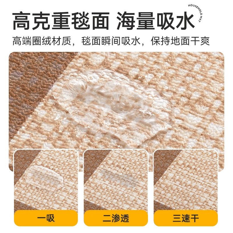 入户门地垫2024新款轻奢家用门口吸水防滑垫高端可定制玄关脚踏垫,淘宝优惠券,粉丝福利购,淘宝优惠卷