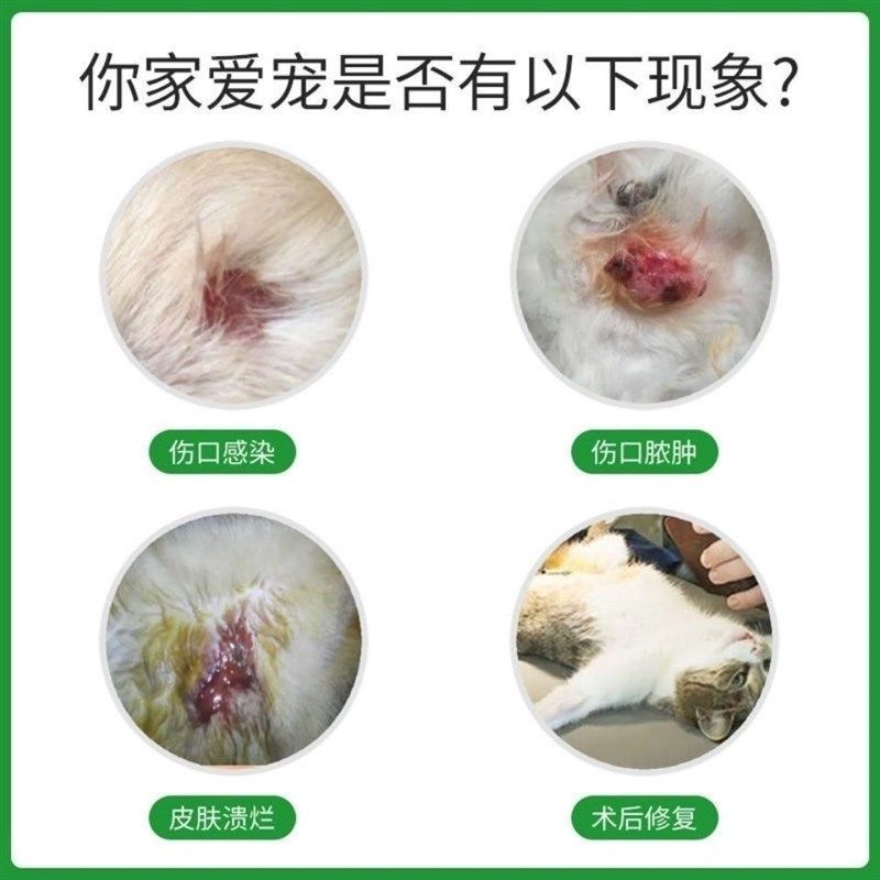 贝里奥百灵金方抑菌膏宠物猫咪狗狗脓皮症术后伤口皮肤病消炎喷剂,淘宝优惠券,粉丝福利购,淘宝优惠卷