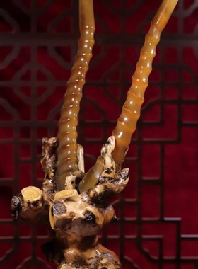 纯天然0羊摆件真品实心可做摆件中药材可入药文玩收藏整角田园