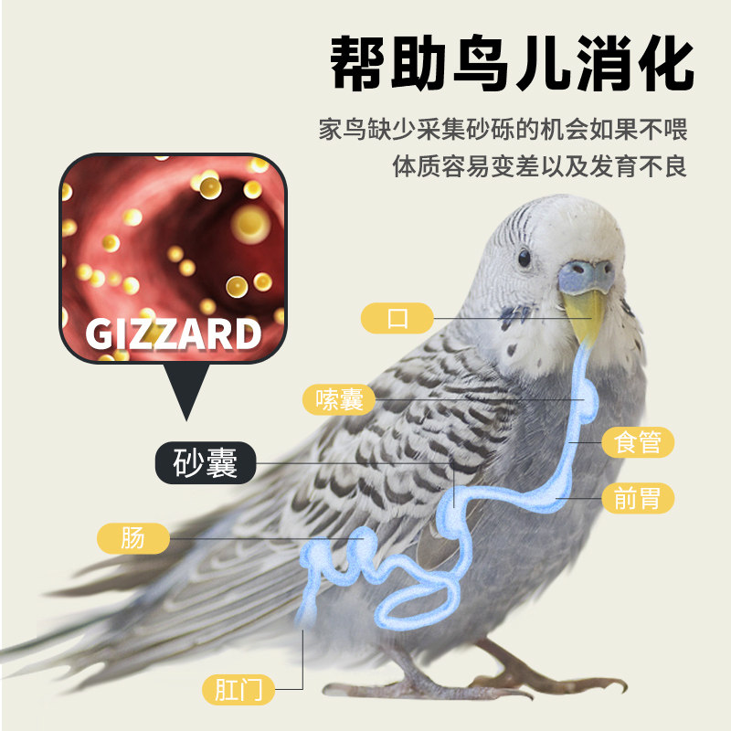 宠尚天鸟专用保健砂鹦鹉鸟用保健砂玄凤虎皮玉营养沙红土粉补钙,淘宝优惠券,粉丝福利购,淘宝优惠卷