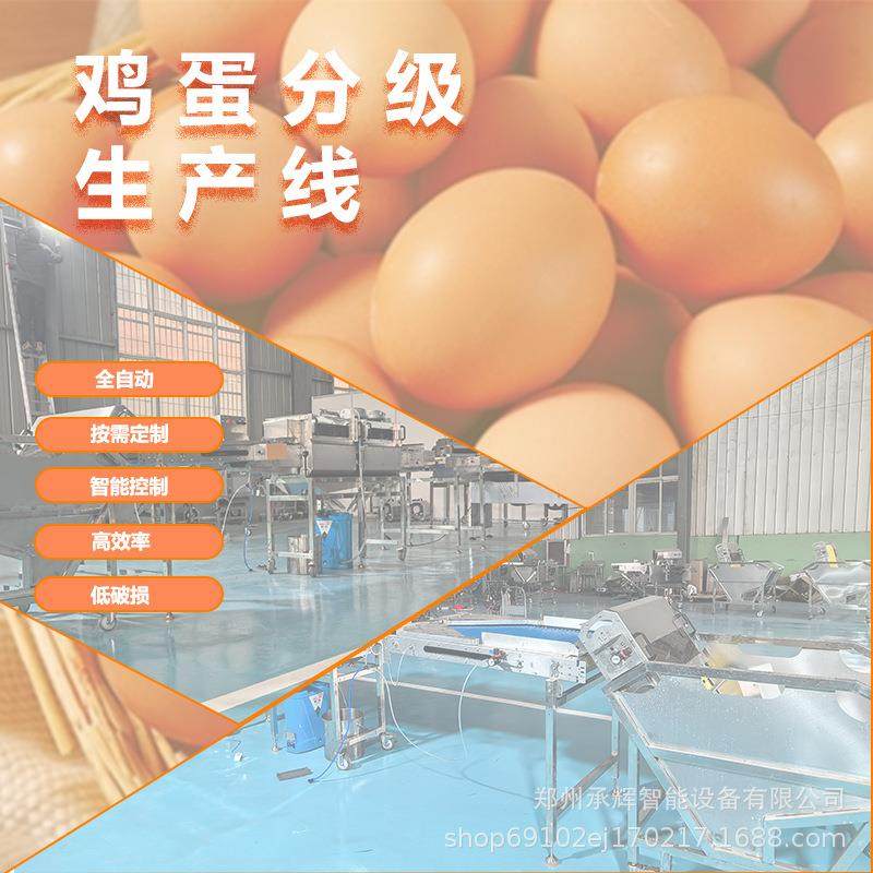高效大容量鸡蛋处理设备水中上蛋清洗杀菌光检鸡蛋分级生产线,淘宝优惠券,粉丝福利购,淘宝优惠卷