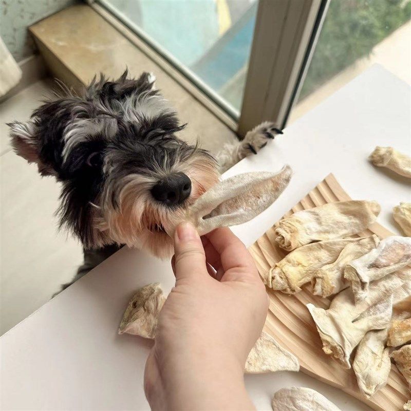 冻干兔耳朵猫咪冻干零食狗狗冻干零食宠物冻干零食兔耳朵零食磨牙,淘宝优惠券,粉丝福利购,淘宝优惠卷