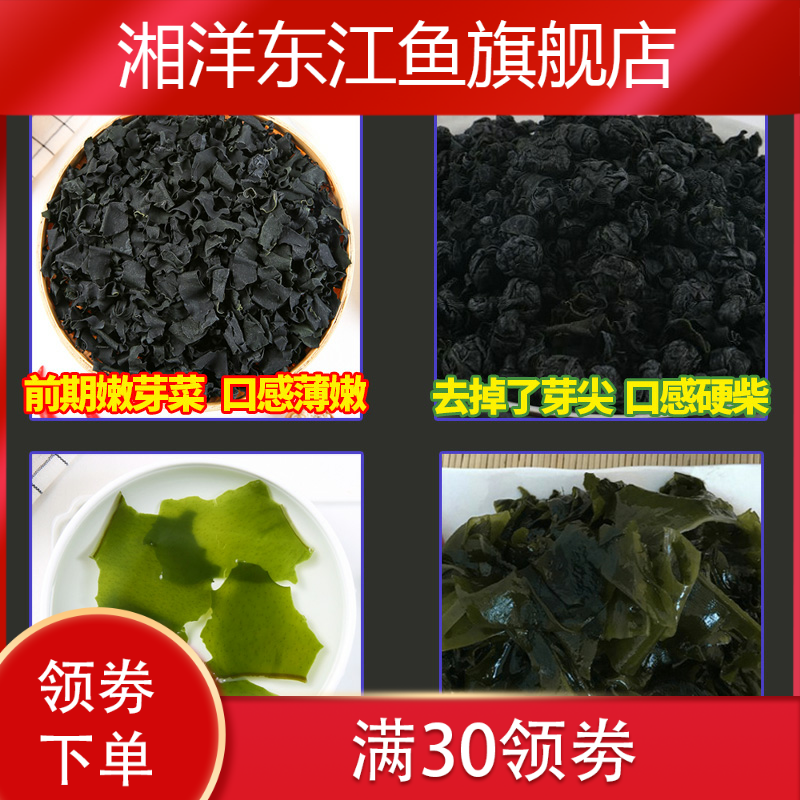 新款500g海带苗嫩芽菜非特裙带菜 湘洋东江鱼海带