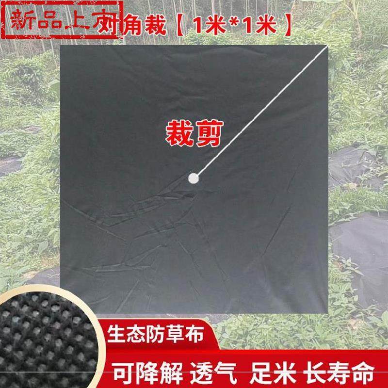 生态农用新型果园保湿布,防草布,除草布,1*1裁剪好,透气透水,淘宝优惠券,粉丝福利购,淘宝优惠卷