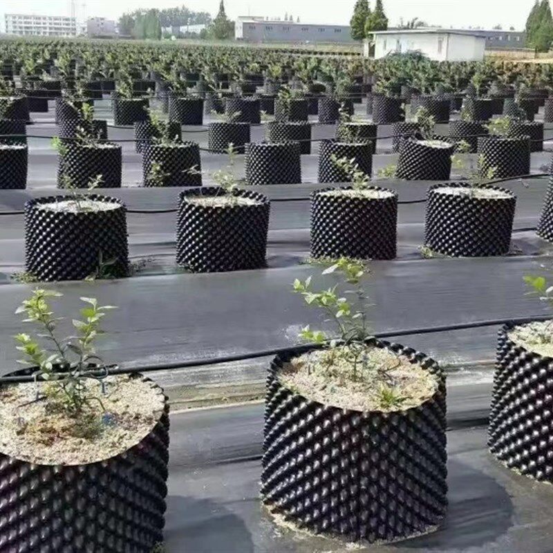 控根器植树专用PVC围树板园林绿化快速育苗花盆景观园艺围栏加厚,淘宝优惠券,粉丝福利购,淘宝优惠卷