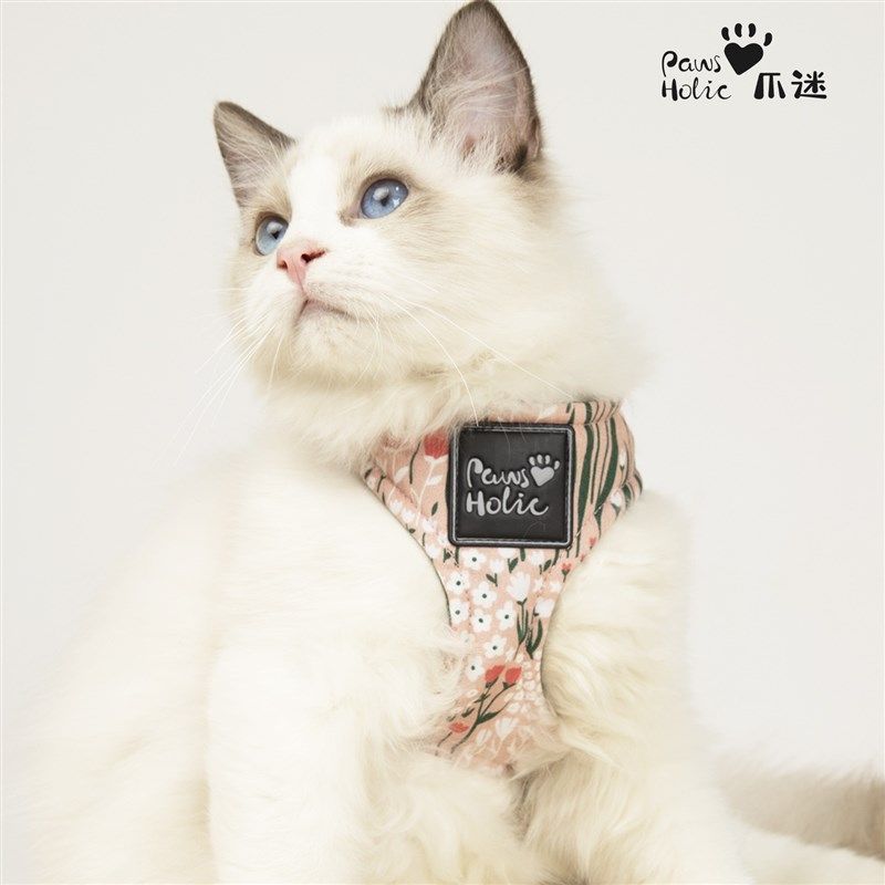 PawsHolic爪迷猫咪牵引绳背心式胸背带防挣脱宠物户外溜猫绳子,淘宝优惠券,粉丝福利购,淘宝优惠卷