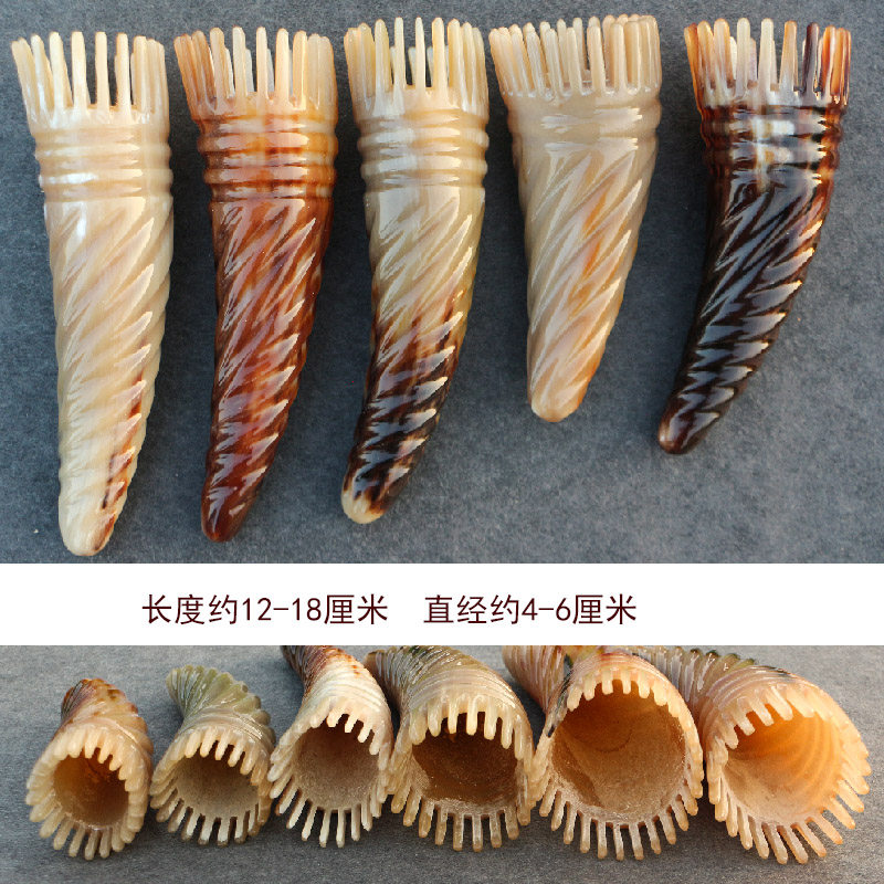 天然牦牛角洗头梳子按摩点穴位梳梳头部按摩梳沐浴洗发梳疏通经络,淘宝优惠券,粉丝福利购,淘宝优惠卷