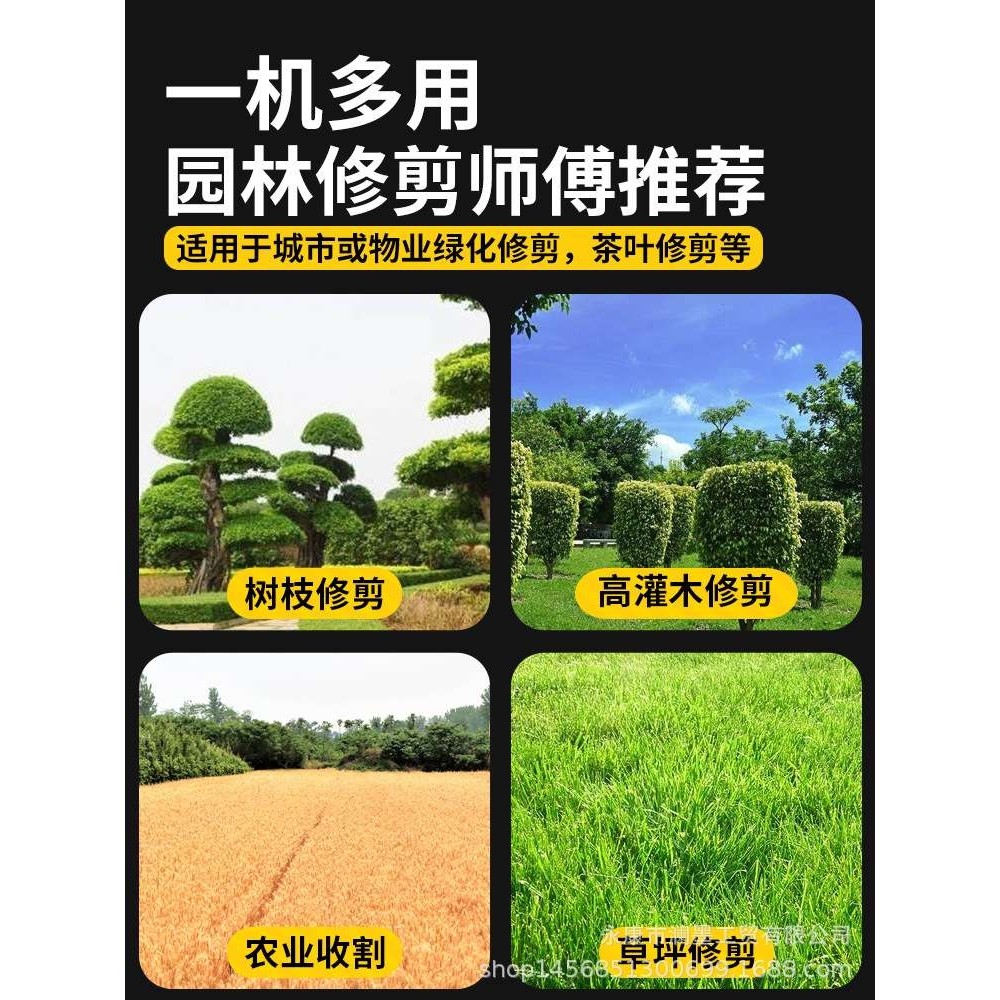 高枝电动绿篱机加长杆绿篱修剪机背负式绿化修枝剪修剪树枝高枝锯,淘宝优惠券,粉丝福利购,淘宝优惠卷