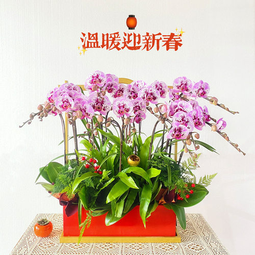新中式四方来财铁艺客厅桌面冬青蝴蝶兰银柳年宵花插花花器花篮 - 图2