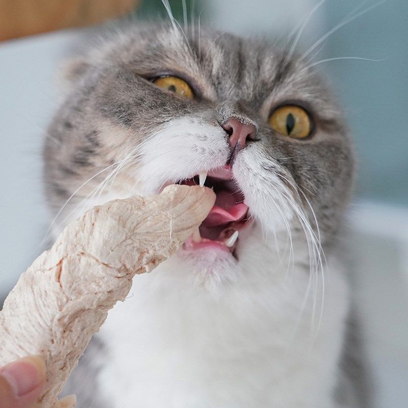 宅猫酱 璞印冻干宠物狗狗猫咪通用磨牙小零食营养补充伴粮零食,淘宝优惠券,粉丝福利购,淘宝优惠卷