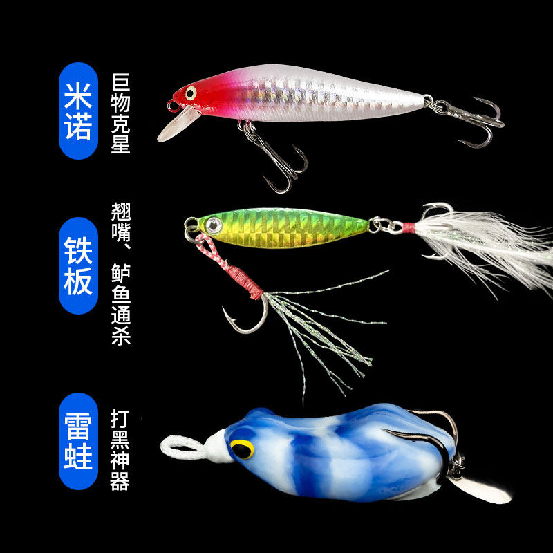 路亚假饵拟饵套装铁板米诺亮片硬饵淡水鲈鱼全套微物鱼饵装备大全,淘宝优惠券,粉丝福利购,淘宝优惠卷